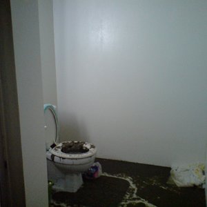 water damage seattle