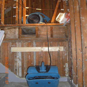 water damage seattle