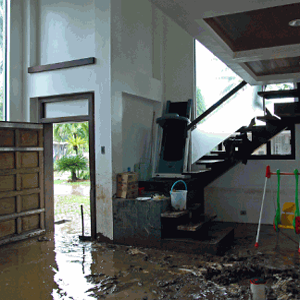 water damage seattle